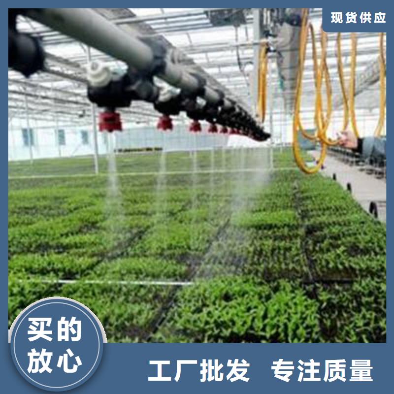 大棚管温室大棚管专注细节更放心