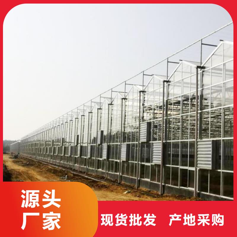 大棚管,椭圆管温室大棚性能稳定
