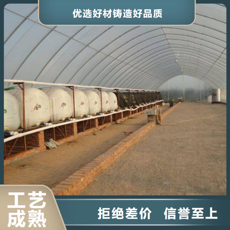大棚6分镀锌管多重