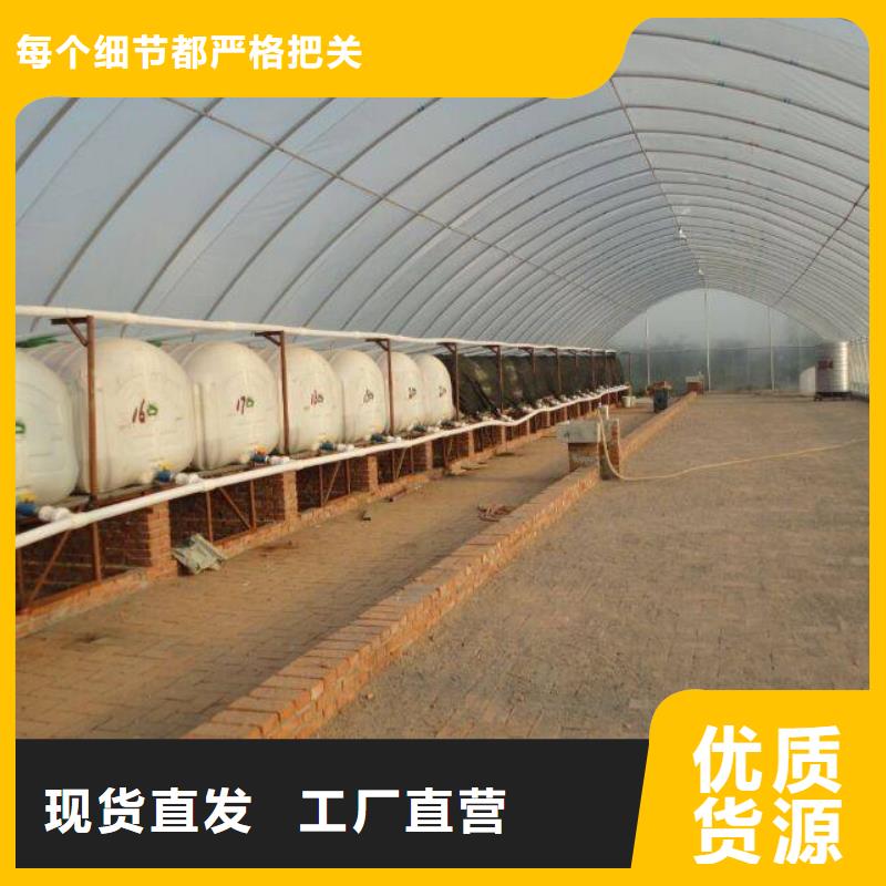 大棚管48小时发货
