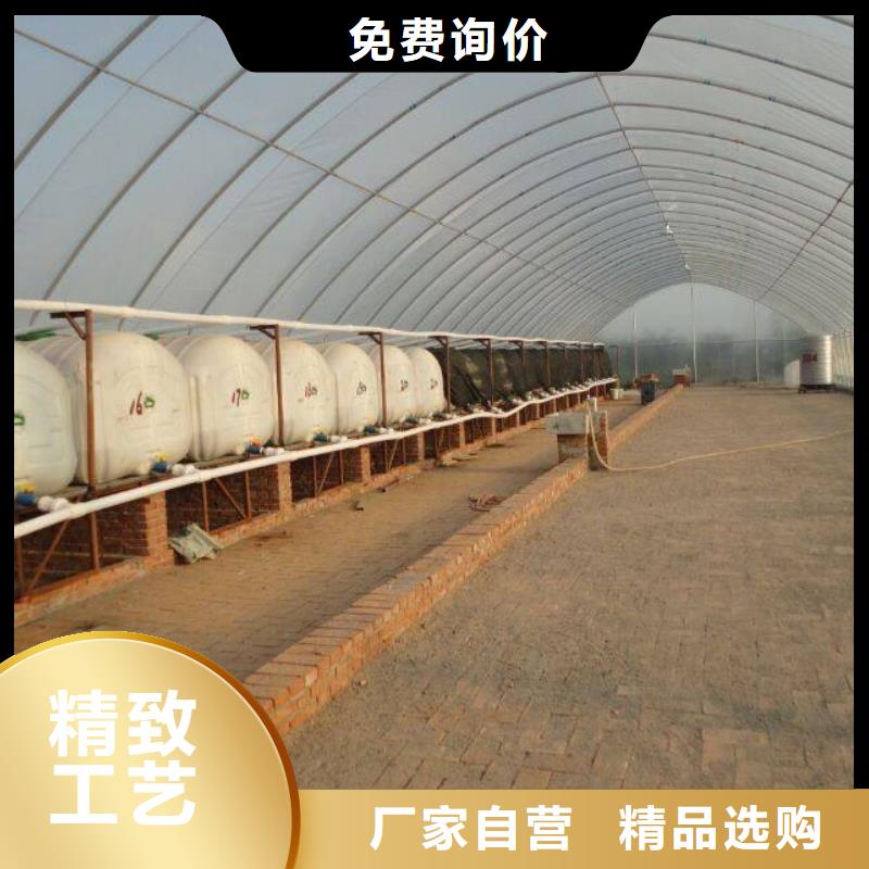 大棚管温室大棚管专注细节更放心