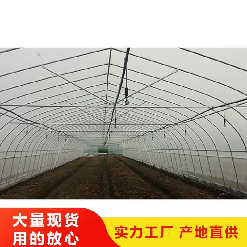大棚管温室大棚管专注细节更放心
