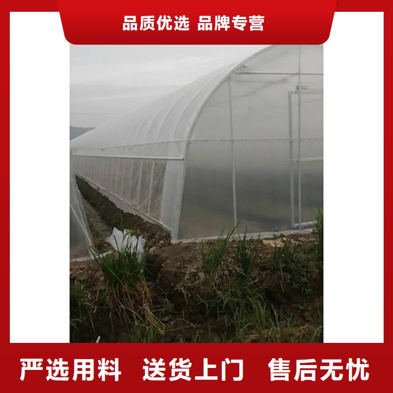 大棚管温室大棚管专注细节更放心