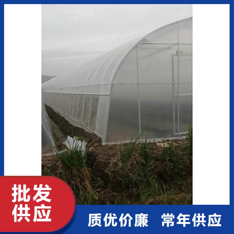 大棚管48小时发货