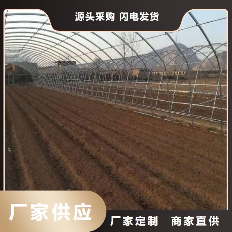 大棚管2连栋大棚管现货交易