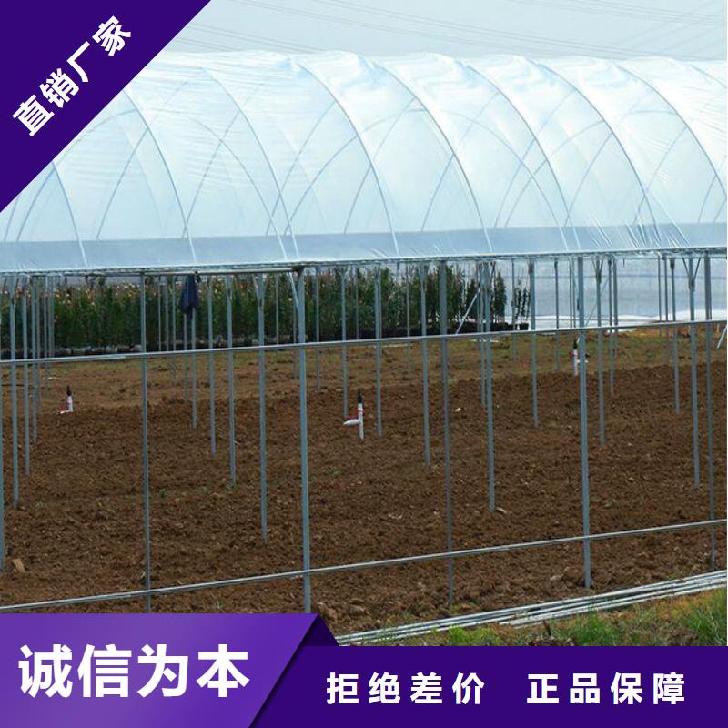 遂昌连栋大棚的优缺点购买2025