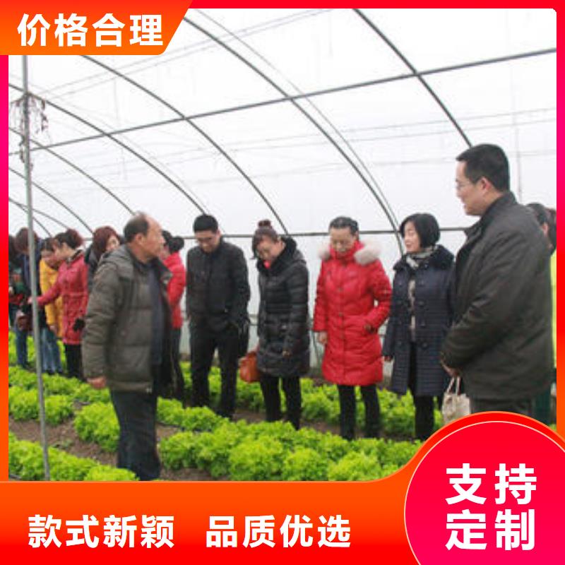 大棚管温室大棚管实力公司