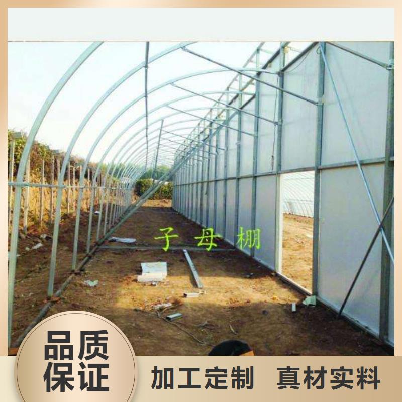 大棚管温室大棚管实力公司