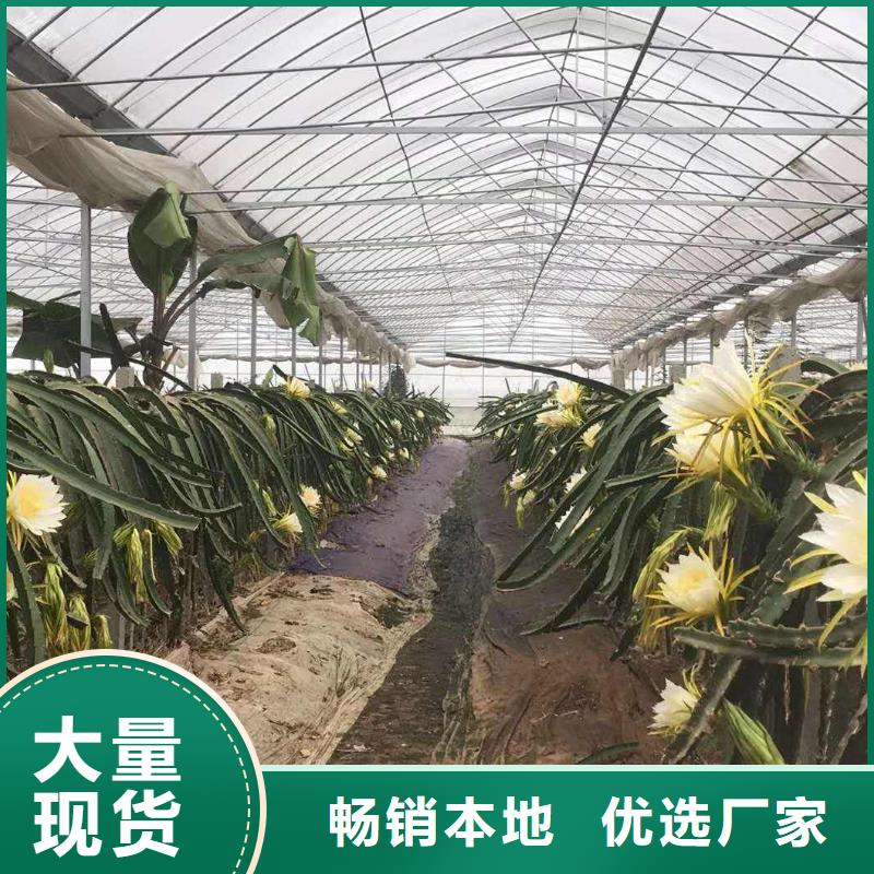 大棚管镀锌方管精选优质材料