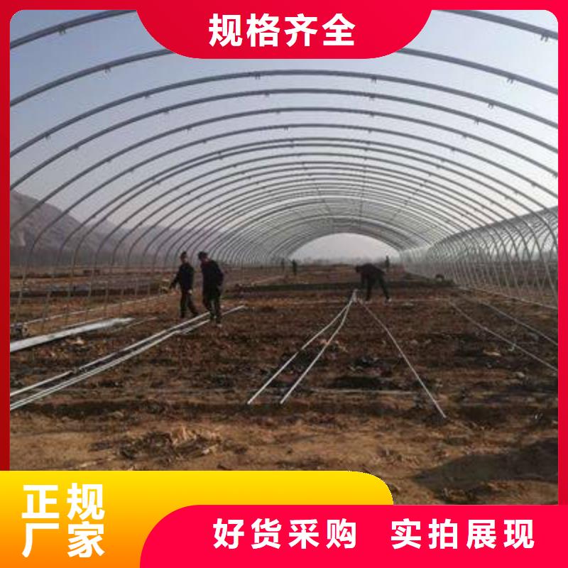 大棚管图片-热销