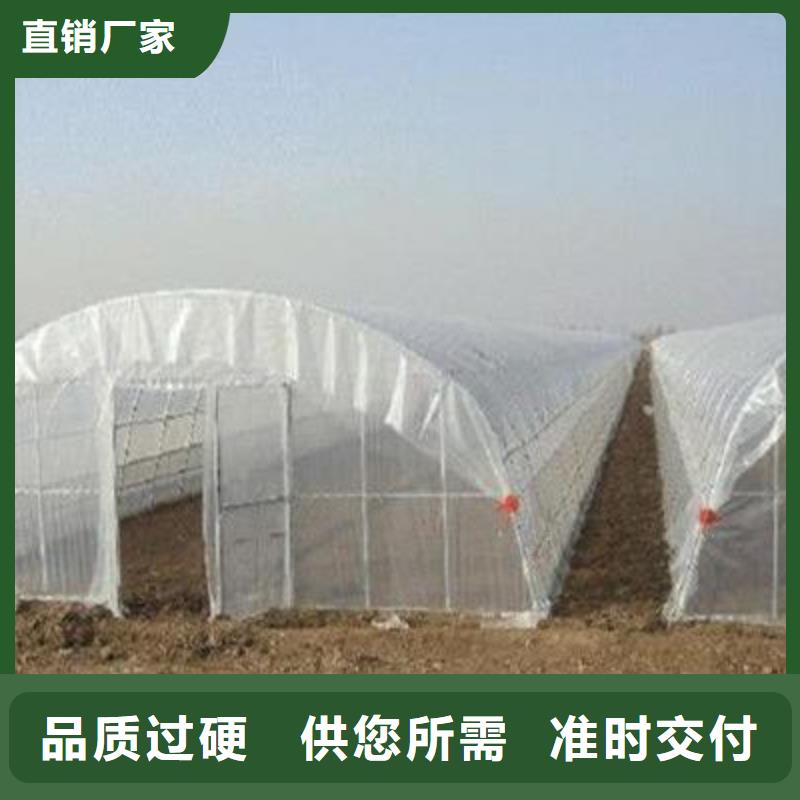 包塑大棚管厂家直接发货