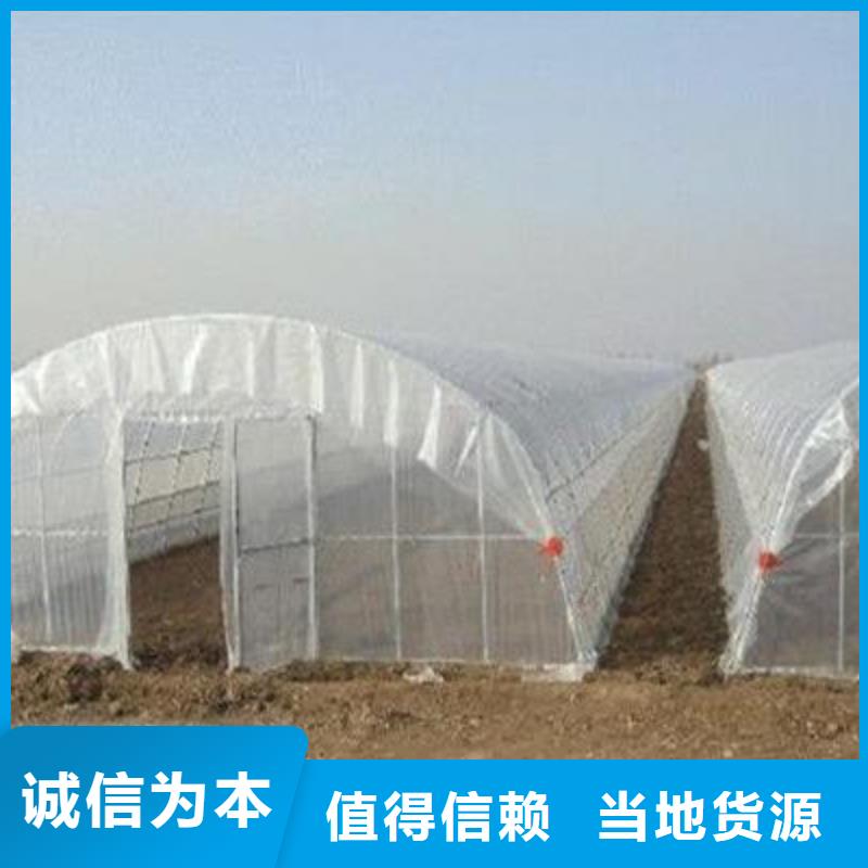 大棚管温室大棚管实力公司
