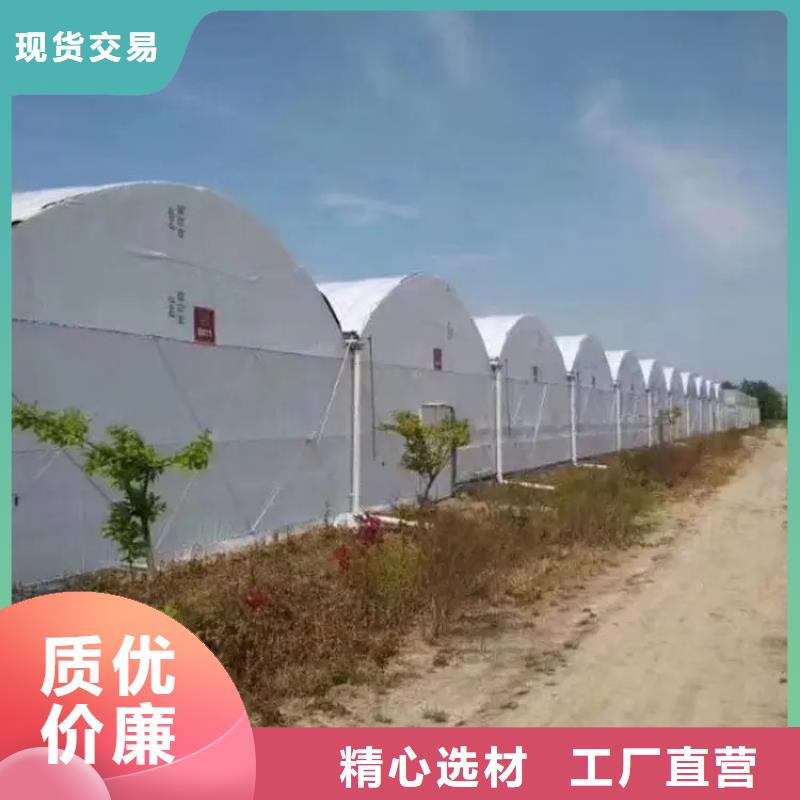 大棚管方管工厂价格