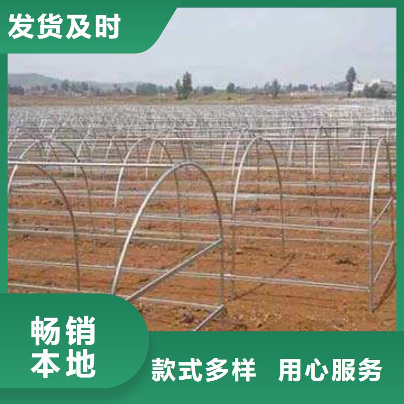 大棚管方管工厂价格