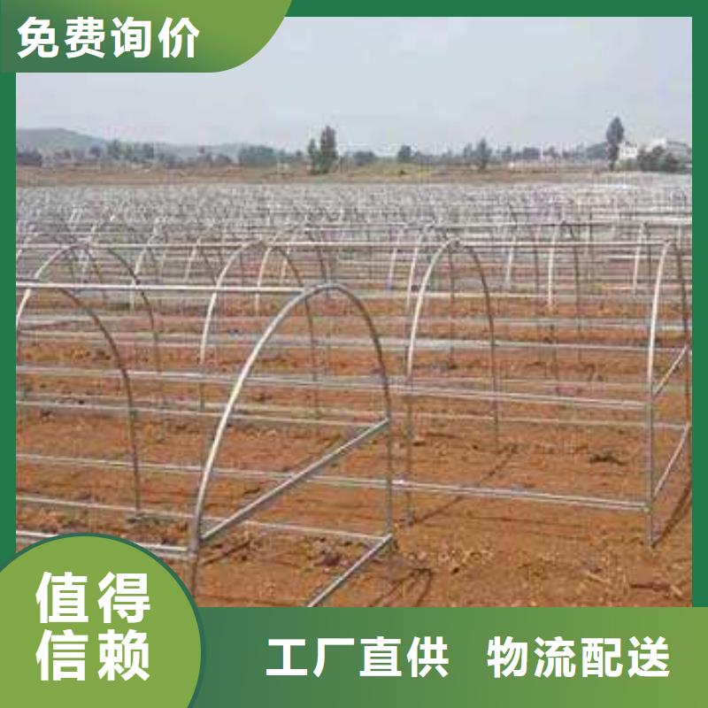 大棚管温室大棚管实力公司