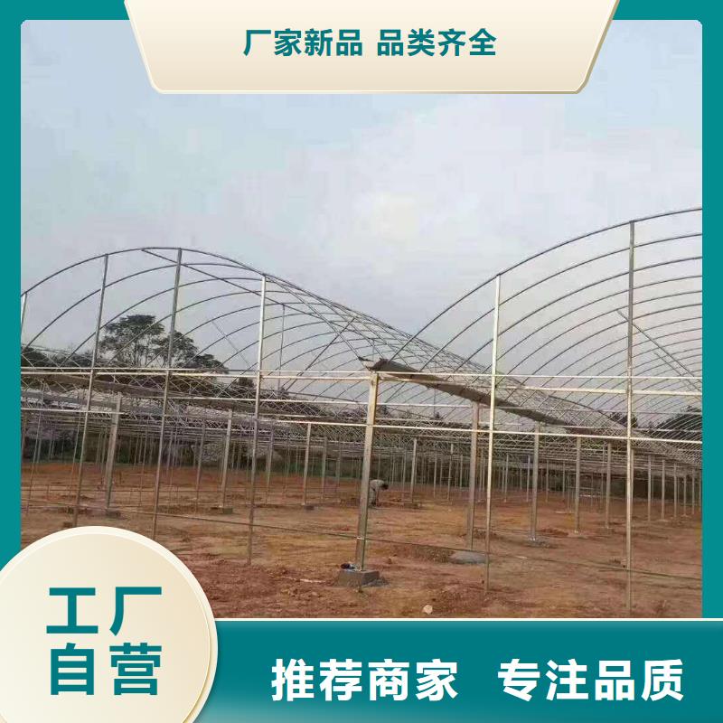 大棚管图片-热销