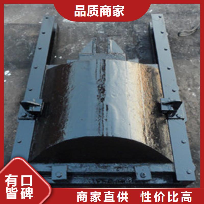 铸铁闸门质优价廉