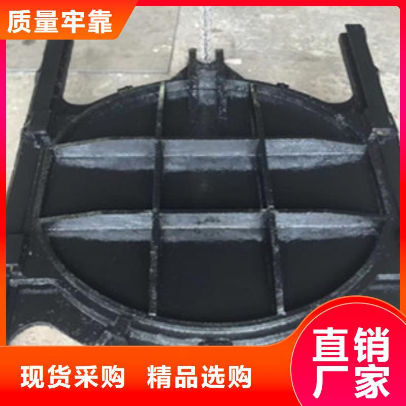 铸铁闸门_铸铁拍门实体诚信厂家