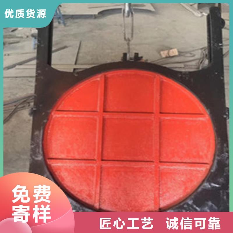 铸铁闸门全封闭式螺杆启闭机质量上乘