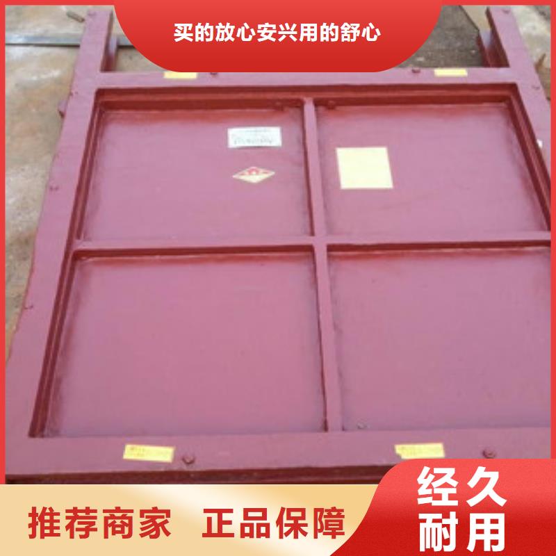 铸铁闸门全封闭式螺杆启闭机质量上乘