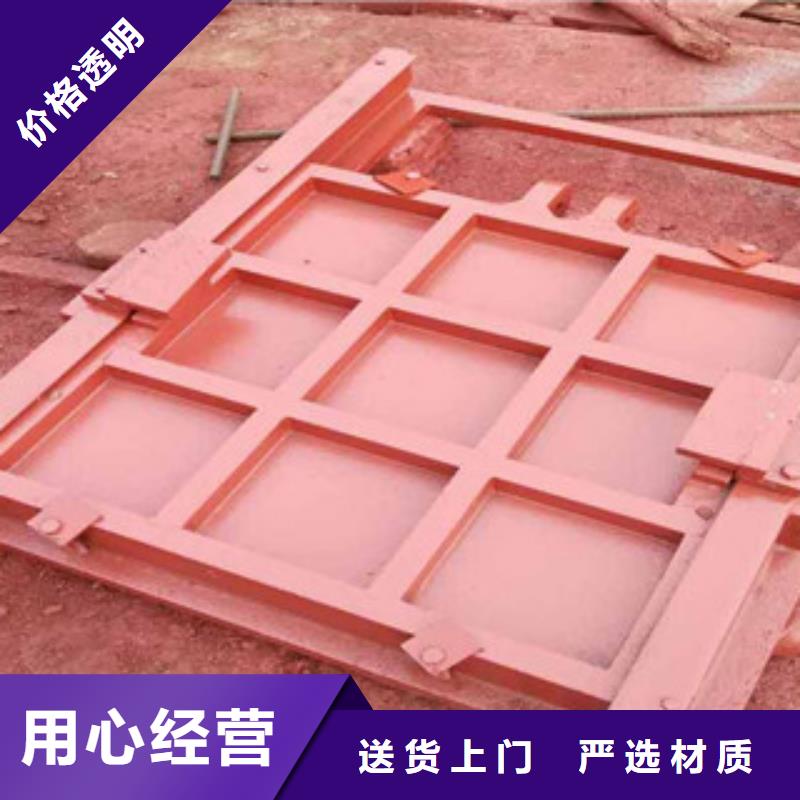 铸铁闸门全封闭式螺杆启闭机质量上乘