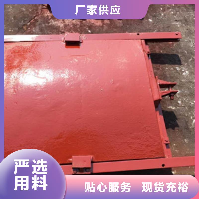 铸铁闸门【电装螺杆启闭机】专业生产团队