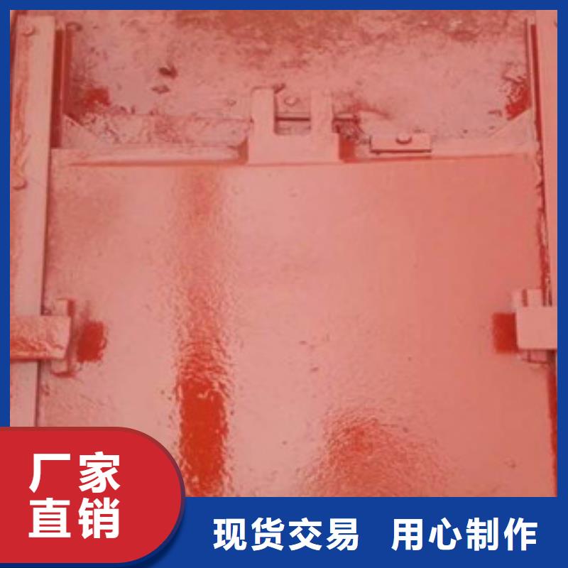 铸铁闸门_铸铁拍门实体诚信厂家