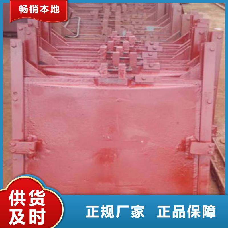 铸铁闸门全封闭式螺杆启闭机质量上乘