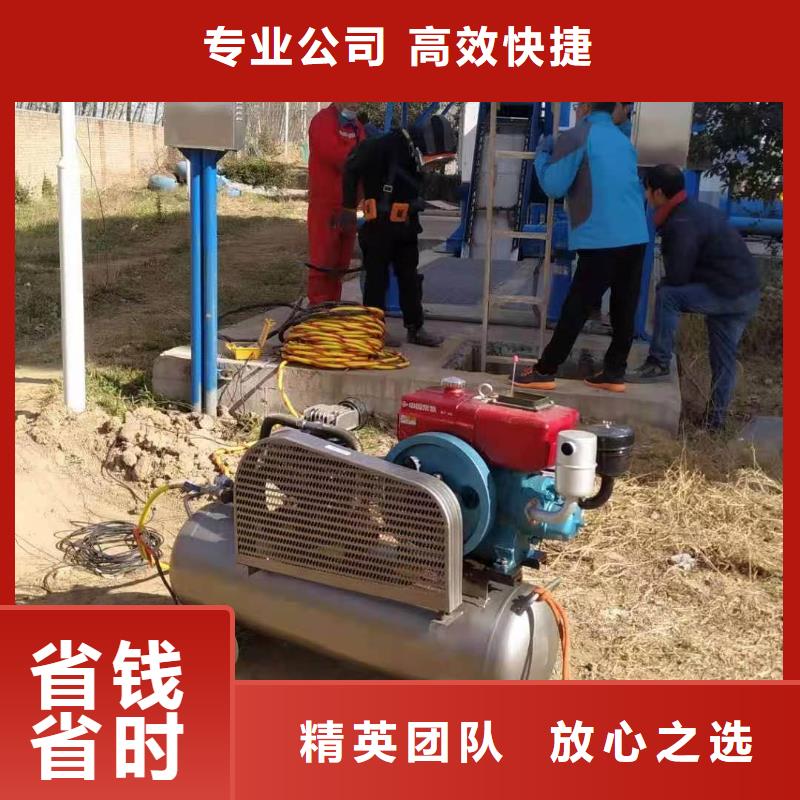 常年供应管道安装气囊封堵-热销