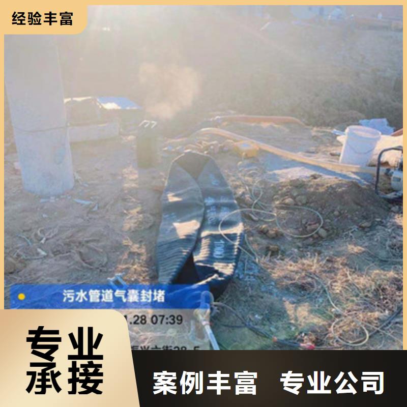 快速:水库电站闸门水下检修厂家