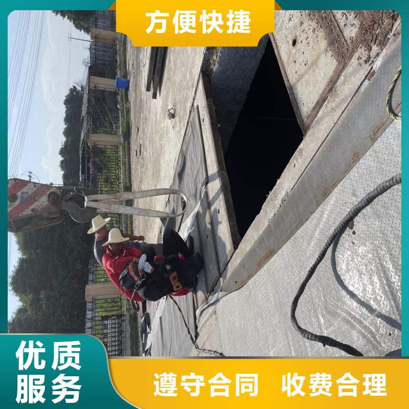电厂闸门水下维修检查公司本地施工队