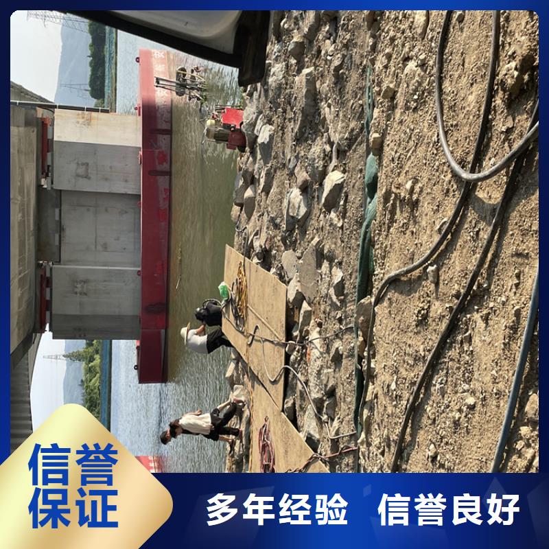 电厂闸门水下维修检查公司【水鬼施工班组】