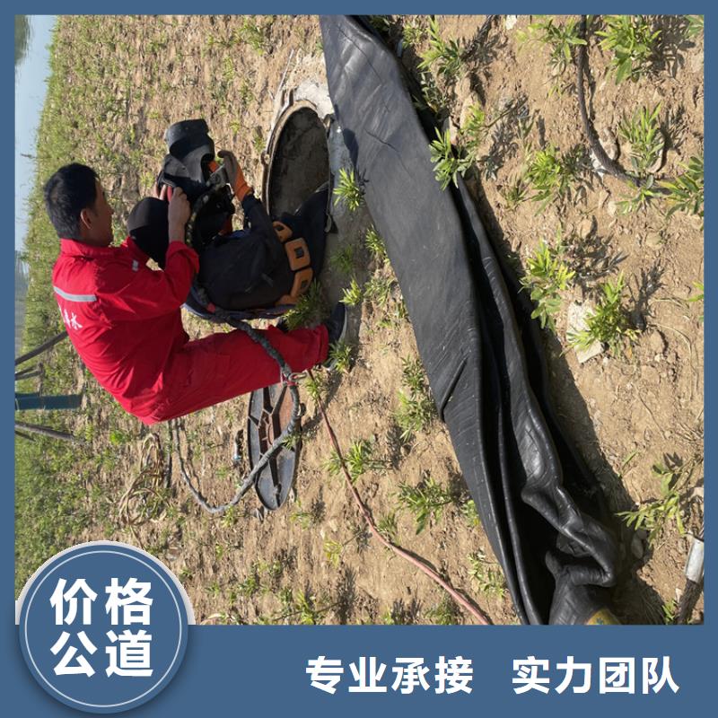 水下救援队-专业潜水队