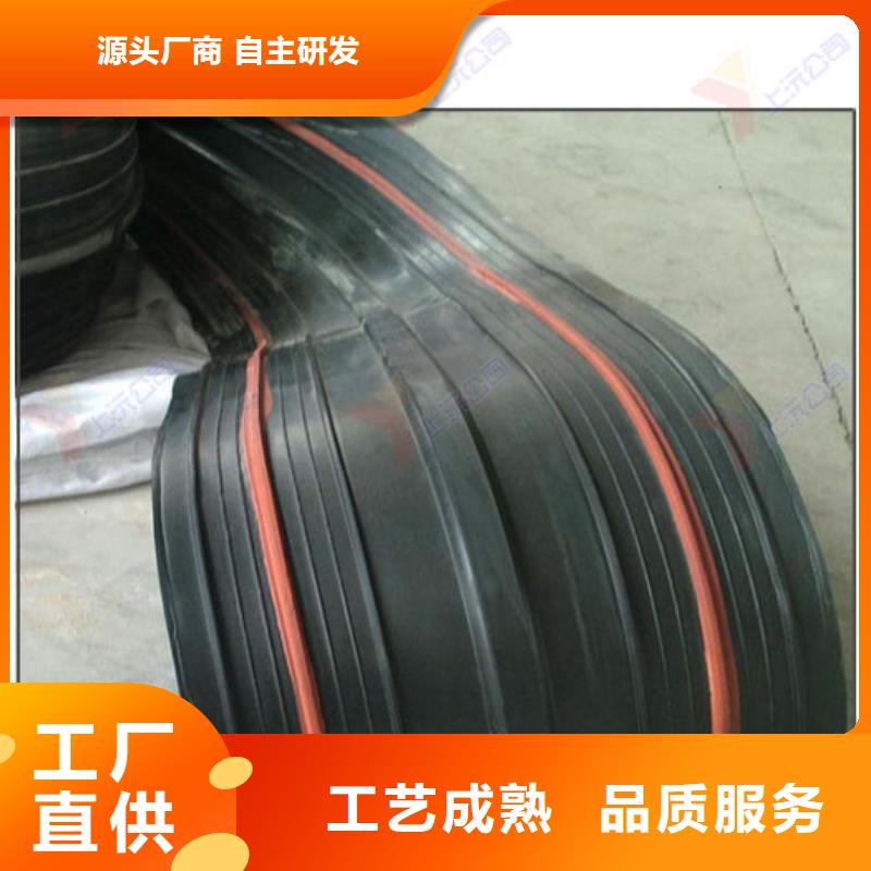 橡胶止水带【连廊支座】好厂家有担当