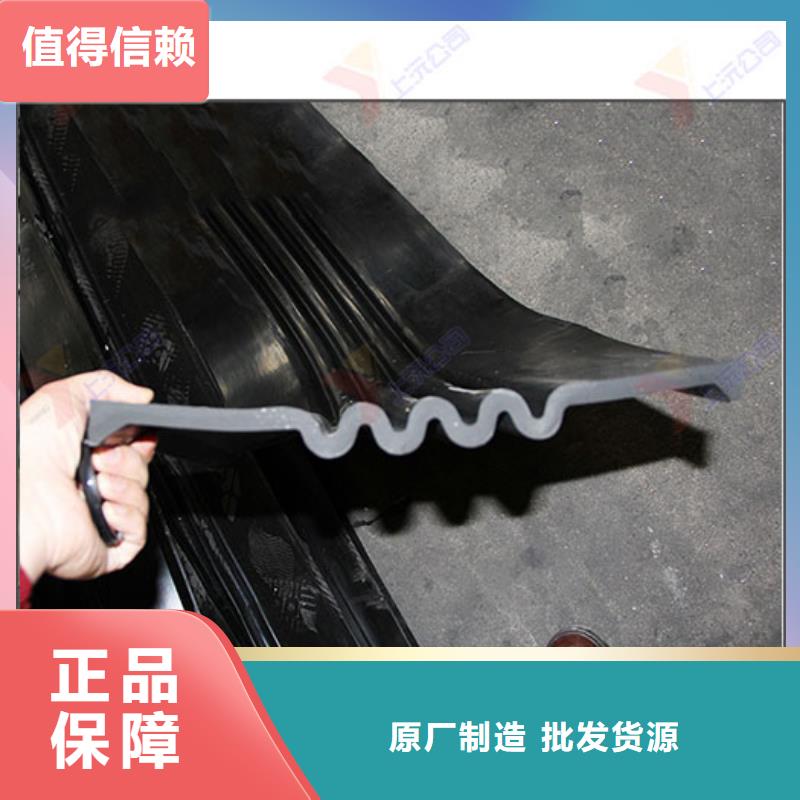 橡胶止水带网架支座源厂直接供货