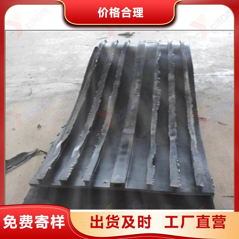 橡胶止水带【连廊支座】好厂家有担当