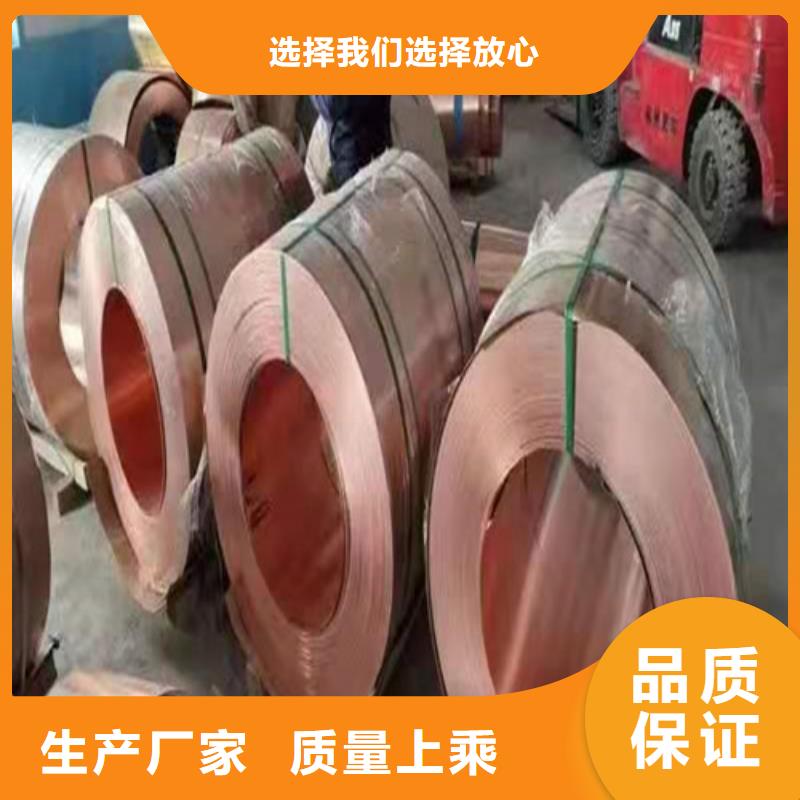 【铜排铜片双向塑料土工格栅常年出售】