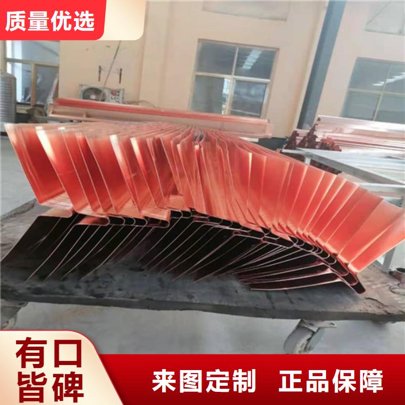 【铜排铜片双向塑料土工格栅常年出售】