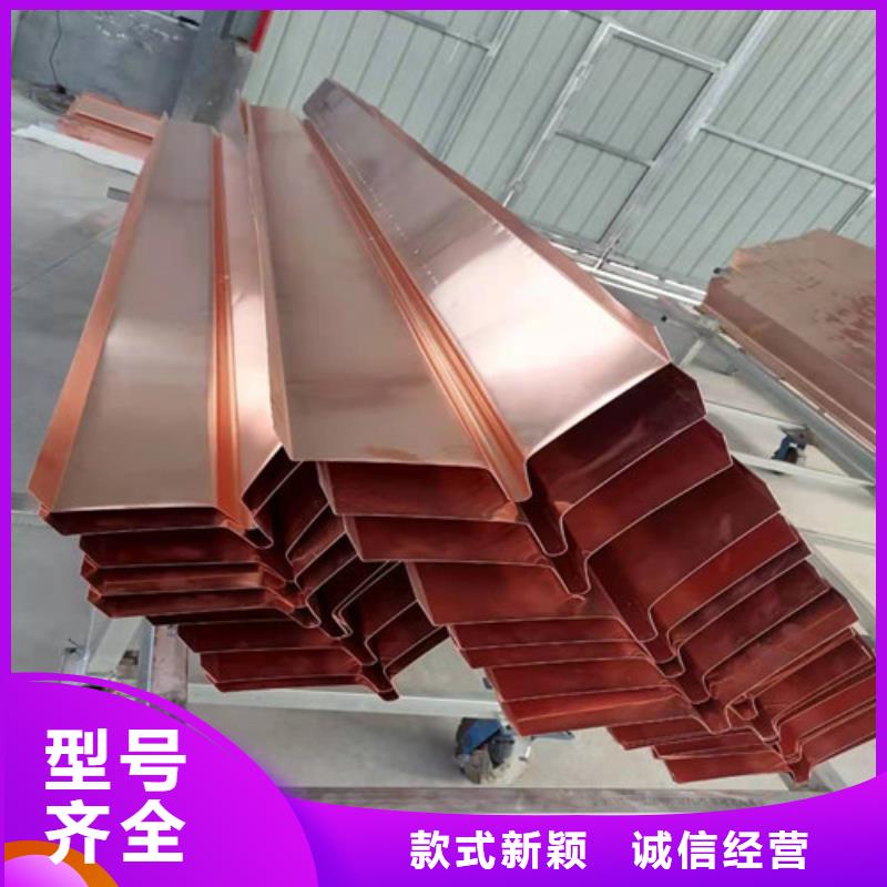 【铜排铜片双向塑料土工格栅常年出售】
