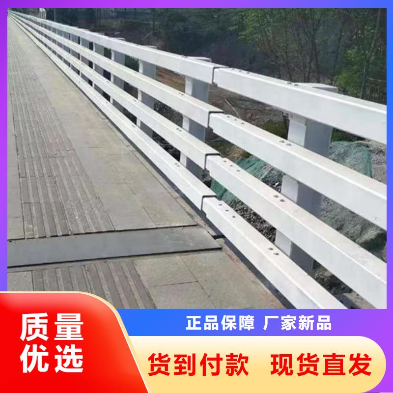 护栏 【灯光防撞护栏】高标准高品质