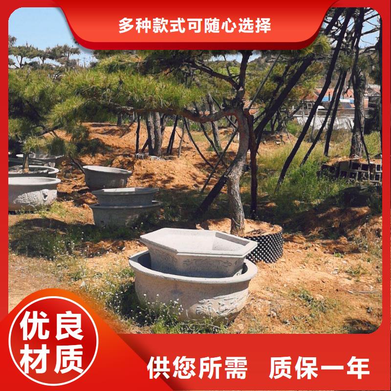 造型松【迎客松】精选好货