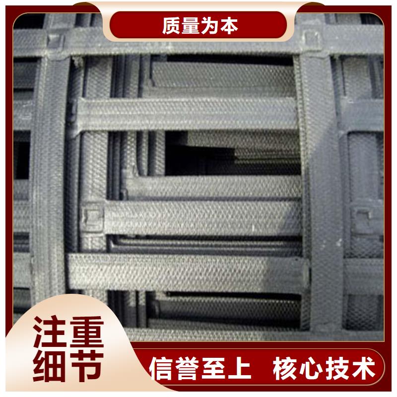 钢塑格栅/玻纤格栅/涤纶格栅/矿业格栅生产基地
