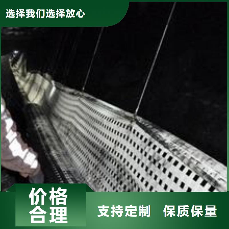 土工格栅_防裂贴_钢塑格栅_防水板_塑料弹性柔性止水带钢塑土工格栅