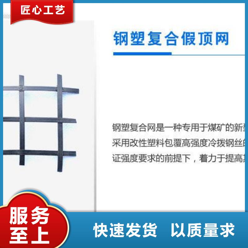 塑料假顶网矿用钢塑复合假顶网供应厂家矿用钢塑网