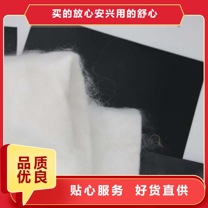 黑色#土工布白色#土工布