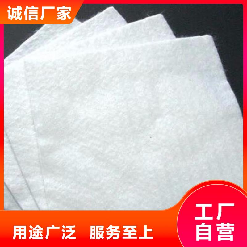 土工布土工膜土工格栅厂家直销现货