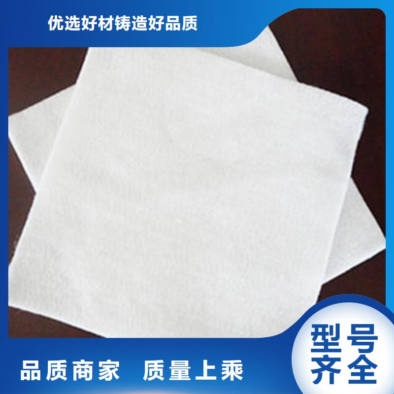 土工布土工膜土工格栅厂家直销现货