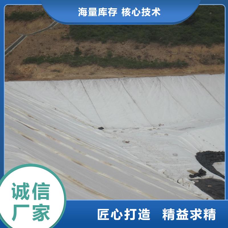 复合土工布人工湖-垃圾填埋工程专用
