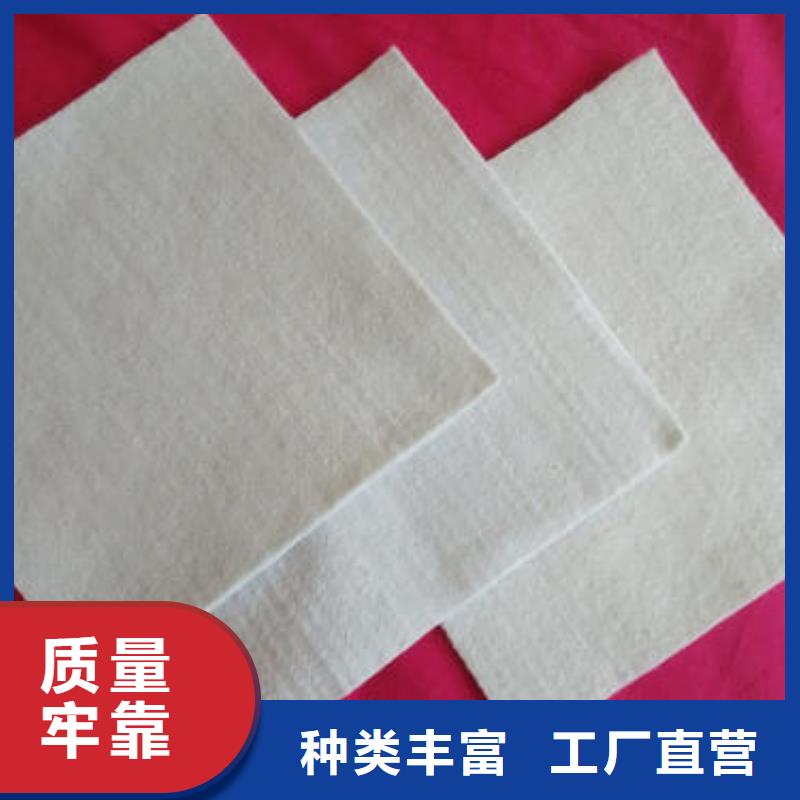 黑色#土工布白色#土工布