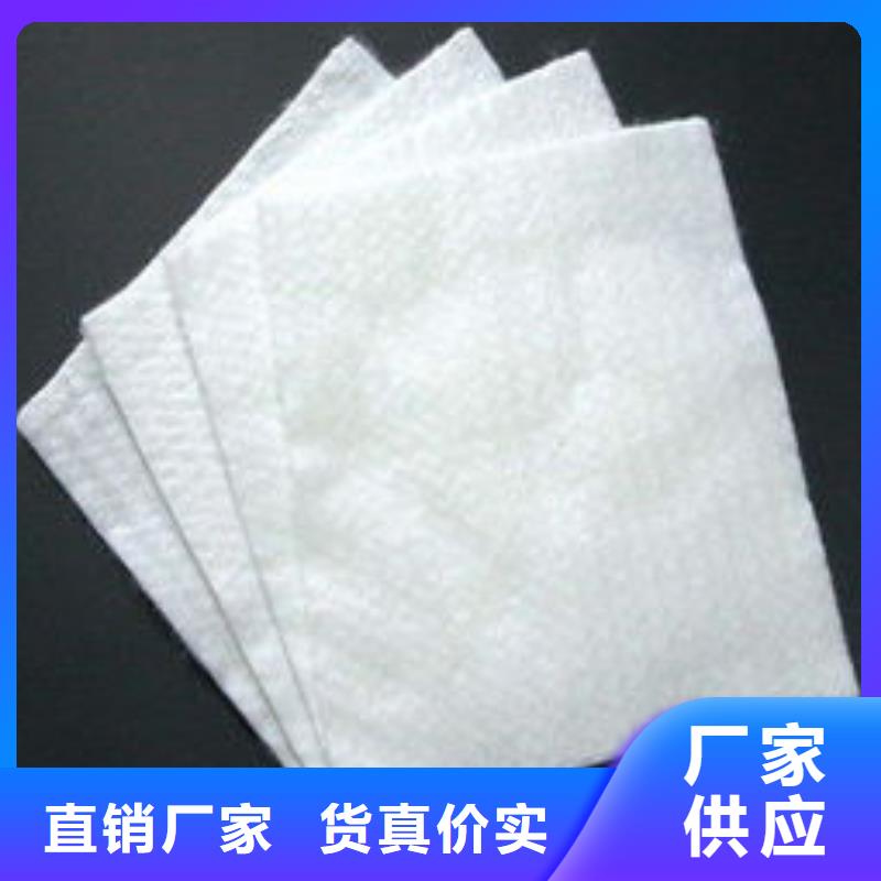 土工布土工膜土工格栅厂家直销现货